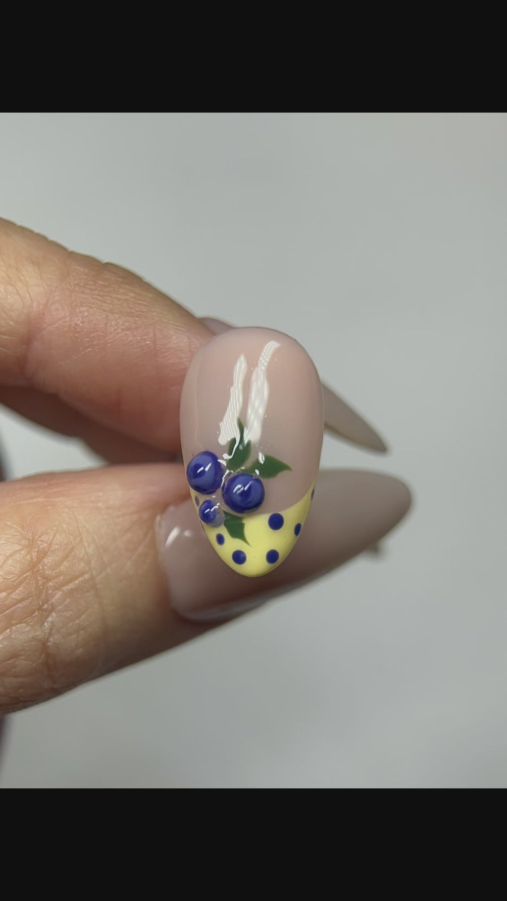 Hand-Painted Blueberry Nail Art | Short Almond French Tip Press-Ons | Summer Picnic Aesthetic| Hand-Painted Gel Reusable Set, 30 Nails, 15 Sizes